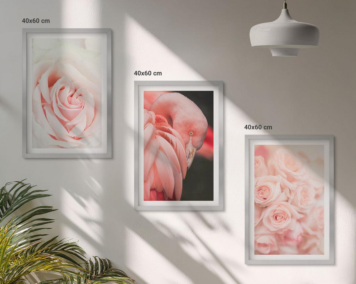 BILDER SET 3er Set - 40x60 cm Silberner Rahmen - Zartrosa Flamingos - Silberfarben, Kunststoff (40/60cm) - TULUP