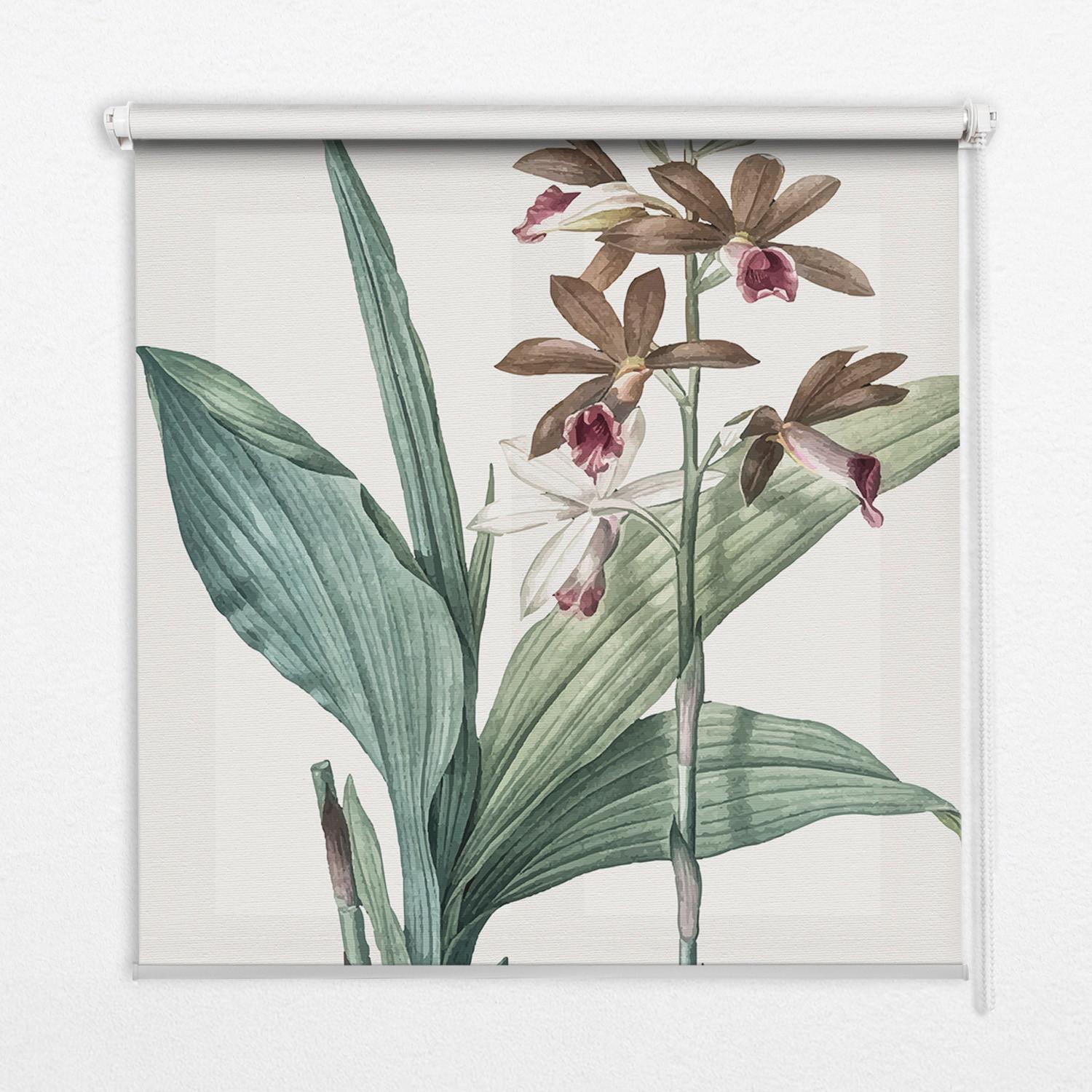 INNENROLLO - Fensterrollo - Rollo - 120x140 cm - Blume - Grau, Kunststoff (120/140/0.5cm) - TULUP