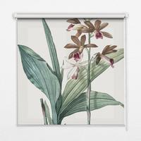 INNENROLLO - Fensterrollo - Rollo - 110x140 cm - Blume - Grau, Kunststoff (110/140/0.5cm) - TULUP