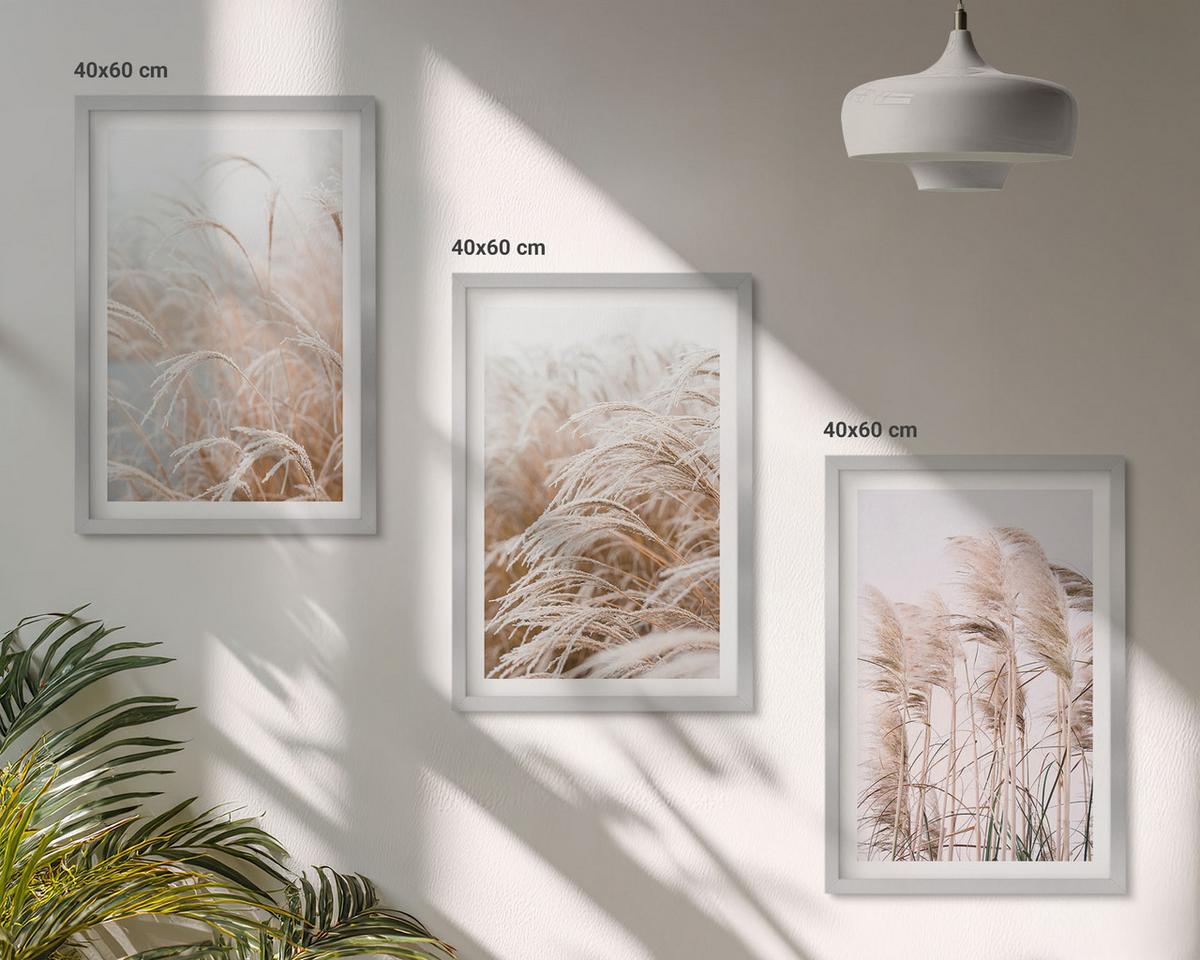 BILDER SET 3er Set - 40x60 cm Silberner Rahmen - Grasflächen in Braun- und Beigetönen - Silberfarben, Kunststoff (40/60cm) - TULUP
