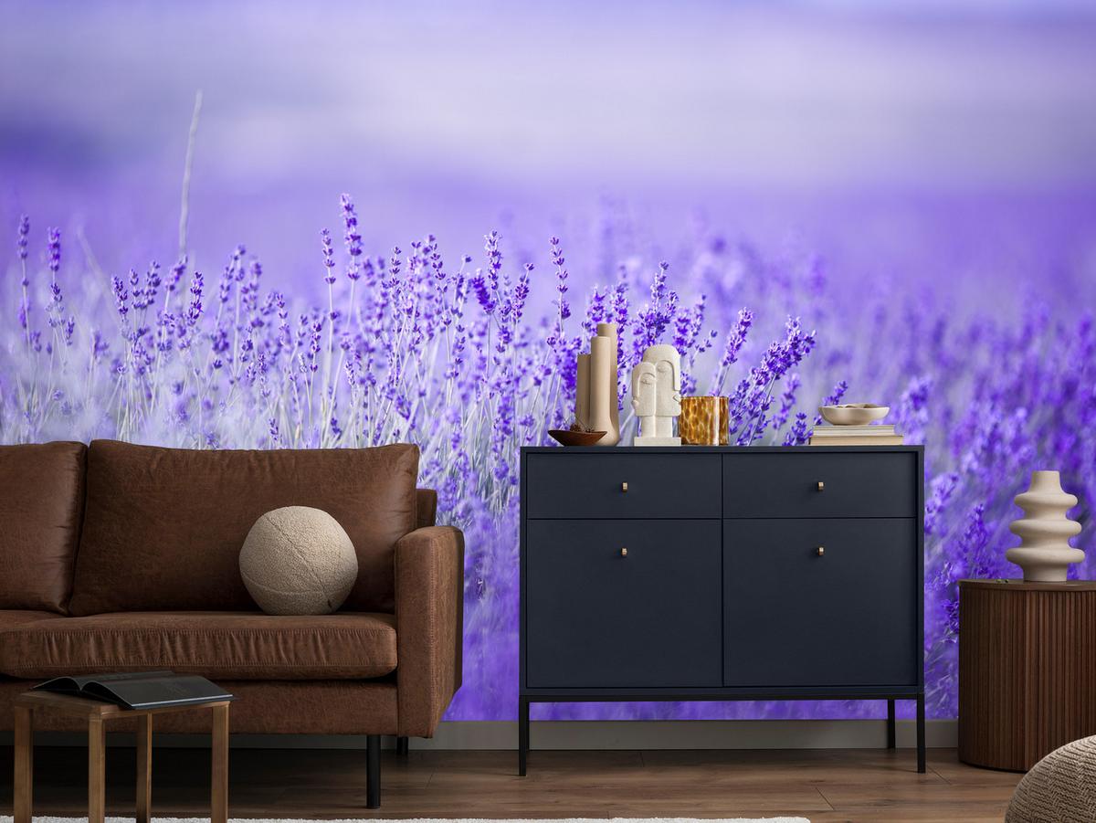 FOTOTAPETE für Küche Lavendelwiese Blüten Fliederfeld 100x70 - Violett/Lila, Papier (100/70cm) - Muralo