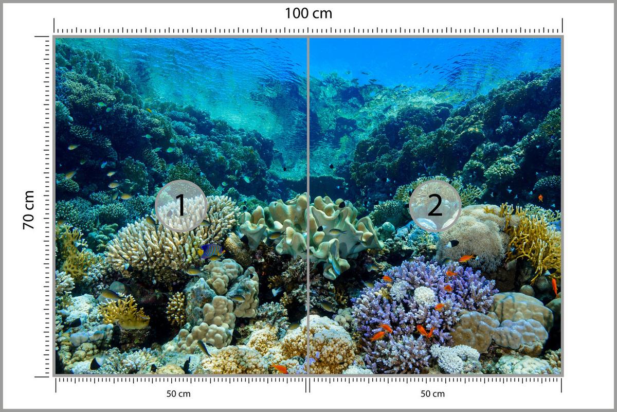 FOTOTAPETE Unterwasserwelt Korallenriff Bunte Fische Meer Natur 100x70 - Türkis/Gelb, Papier (100/70cm) - Muralo