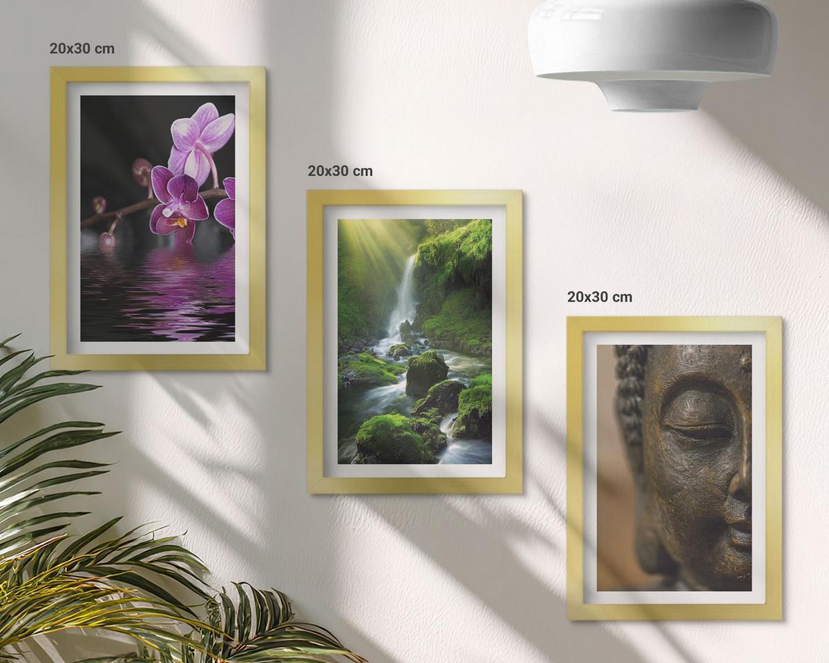 BILDER SET 3er Set - 20x30 cm Goldrahmen - Blumen, Wasserfall, Buddha-Felsen, Zen - Goldfarben, Kunststoff (20/30cm) - TULUP