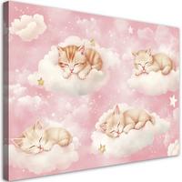 WANDBILD für kinderzimmer kätzchen in den wolken rosa - Pink, Textil (60/40cm) - Feeby