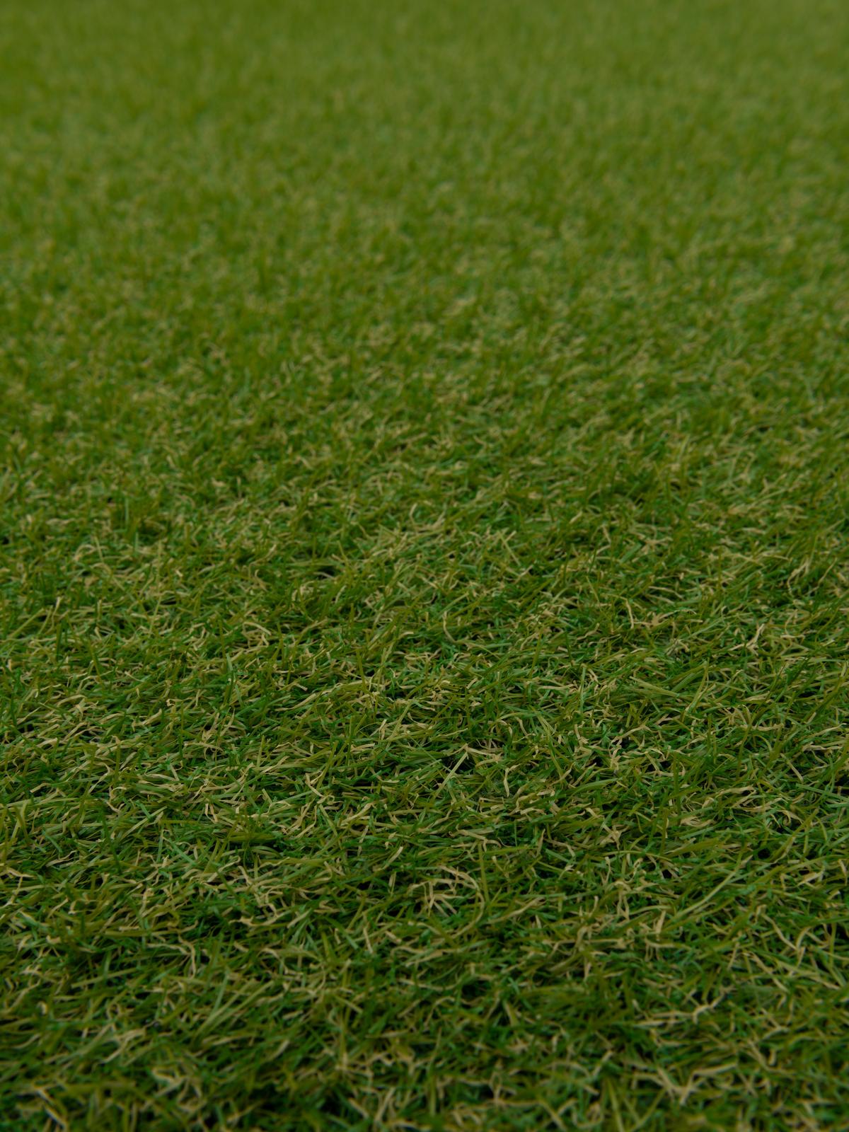 LUXUS KUNSTRASEN RASENTEPPICH WEMBLEY - Grün, Textil (200/300cm) - Snapstyle