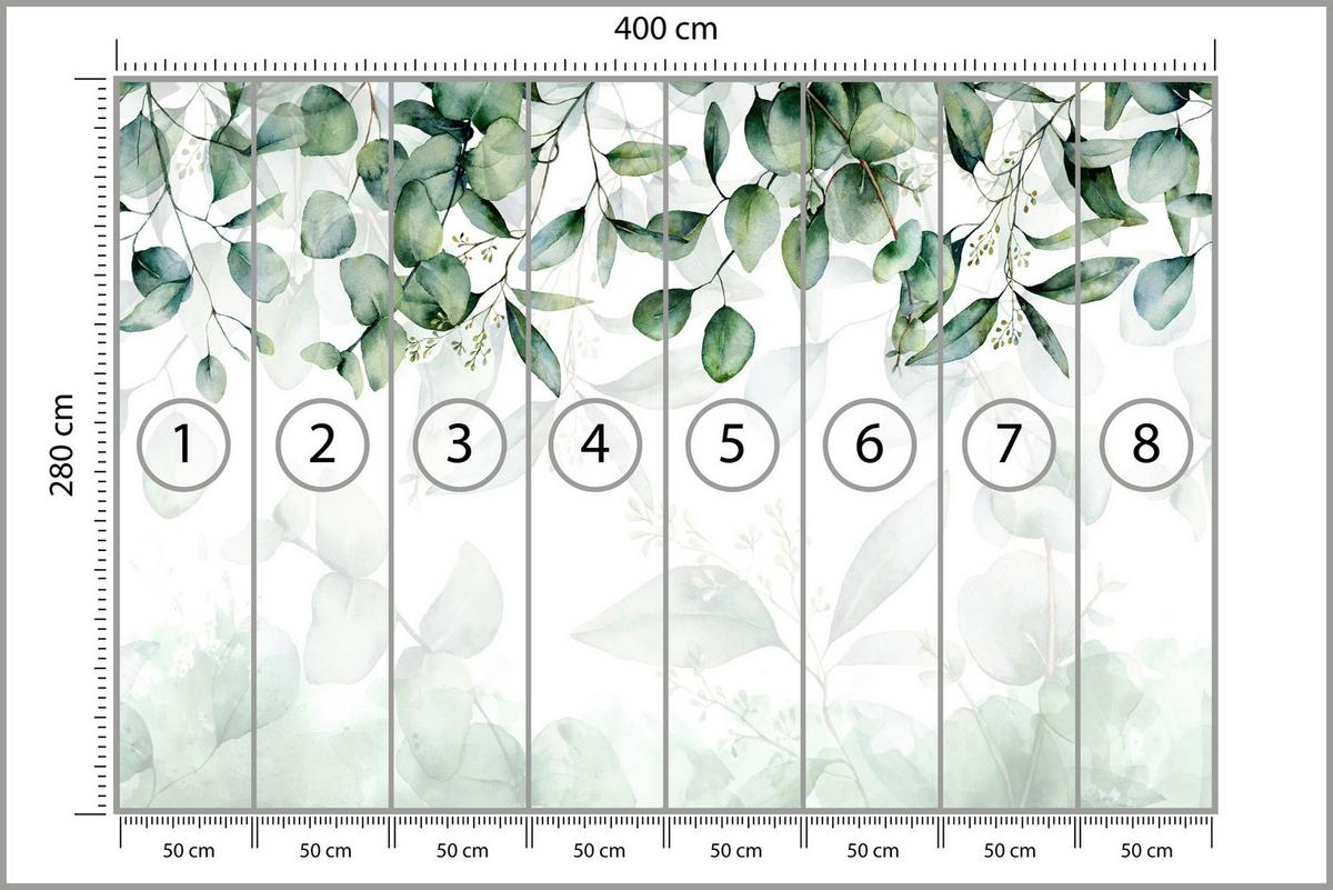 FOTOTAPETE Eukalyptus Blätter Pflanzen Natur 400x280 - Weiß/Grün, Papier (400/280cm) - Muralo