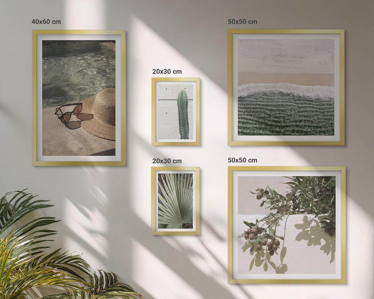 BILDER SET 5er Set - 50x50 cm & 20x30 cm & 40x60 cm Goldrahmen - Zubehör für tropische Pflanzen - Goldfarben, Kunststoff (40/60cm) - TULUP