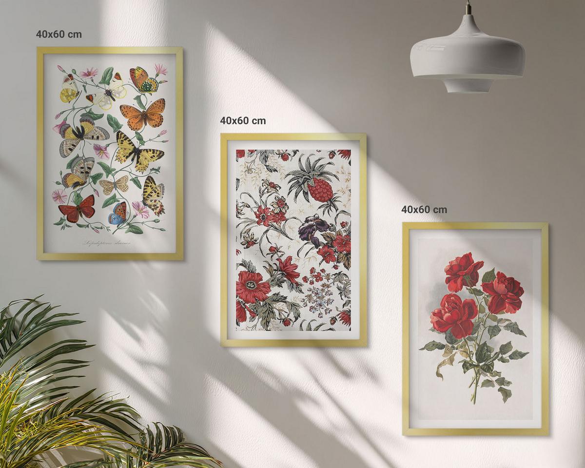 BILDER SET 3er Set - 40x60 cm Goldrahmen - Schmetterlinge, Blumen, rote Rosen - Goldfarben, Kunststoff (40/60cm) - TULUP