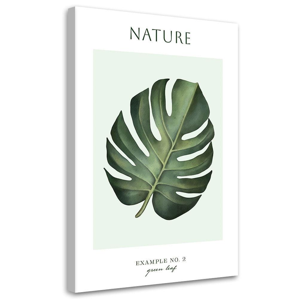 KUNSTDRUCK Grün 40/60 cm - Grün, Textil (40/60cm) - KUNSTLOFT