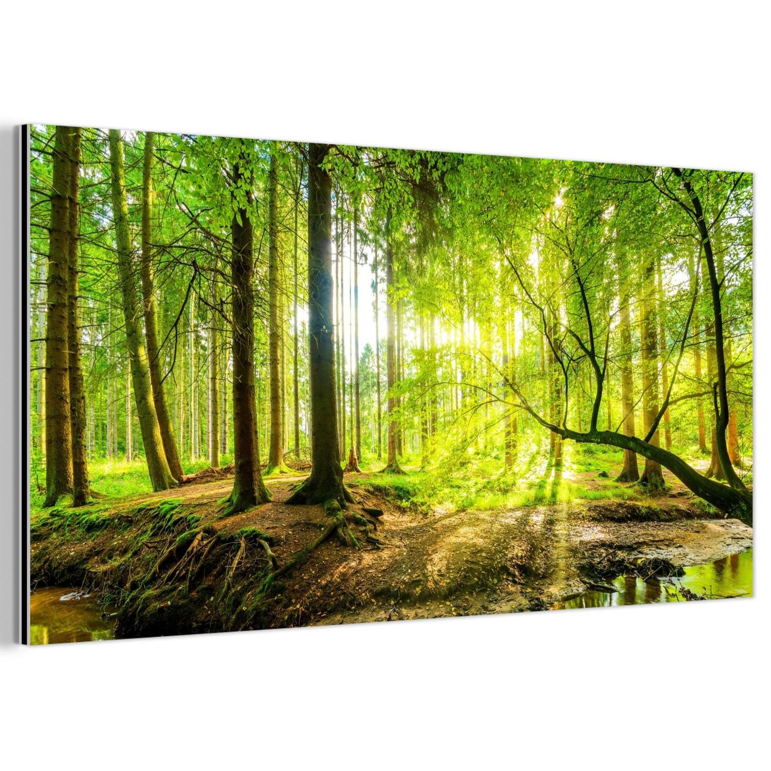 METALLBILD Wald - Landschaft - Wasser - Bäume - Sonne - Grün - Natur 80x40 cm - Grün, Metall (80/40cm) - MuchoWow