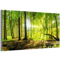 METALLBILD Wald - Landschaft - Wasser - Bäume - Sonne - Grün - Natur 80x40 cm - Grün, Metall (80/40cm) - MuchoWow