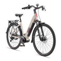 E-BIKE Cityrad RC680 Elektrofahrrad 28 Zoll Mittelmotor 10-Gang Kettenschaltung 705,6 Wh Pedelec - Grau, Metall (115cm) - Telefunken
