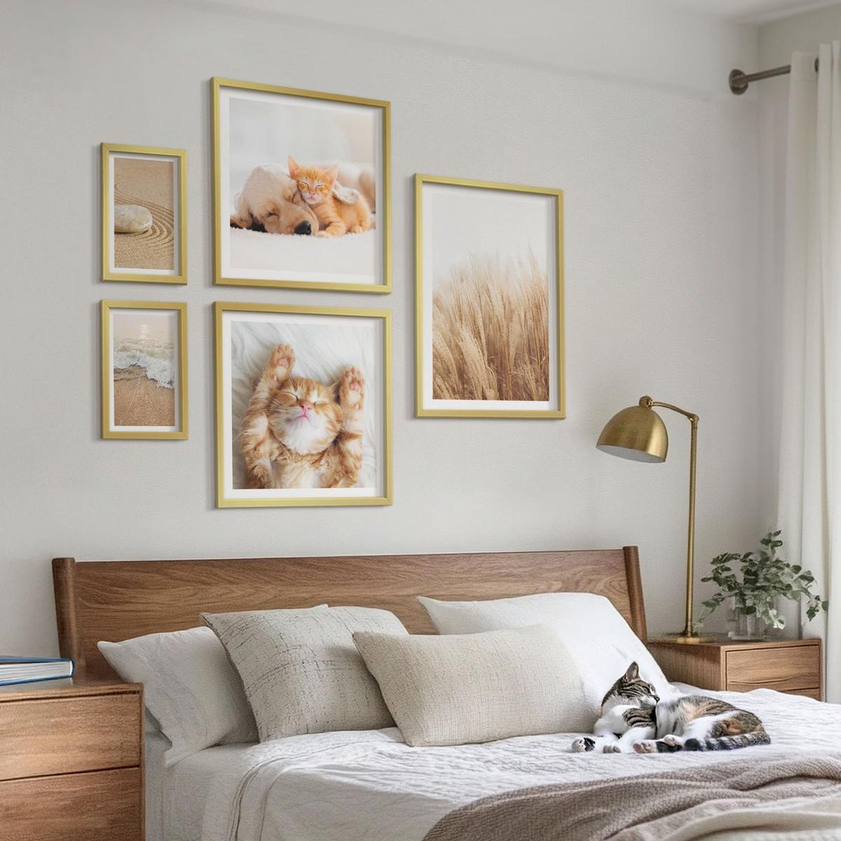 BILDER SET 5er Set - 50x50 cm & 20x30 cm & 40x60 cm Goldrahmen - Niedliche Tiere, Katzen, Hunde, Strand - Goldfarben, Kunststoff (40/60cm) - TULUP