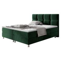BOXBETT Dave - H3 - Chromfarben/Grün, Holz/Textil (160/200cm) - MIRJAN24