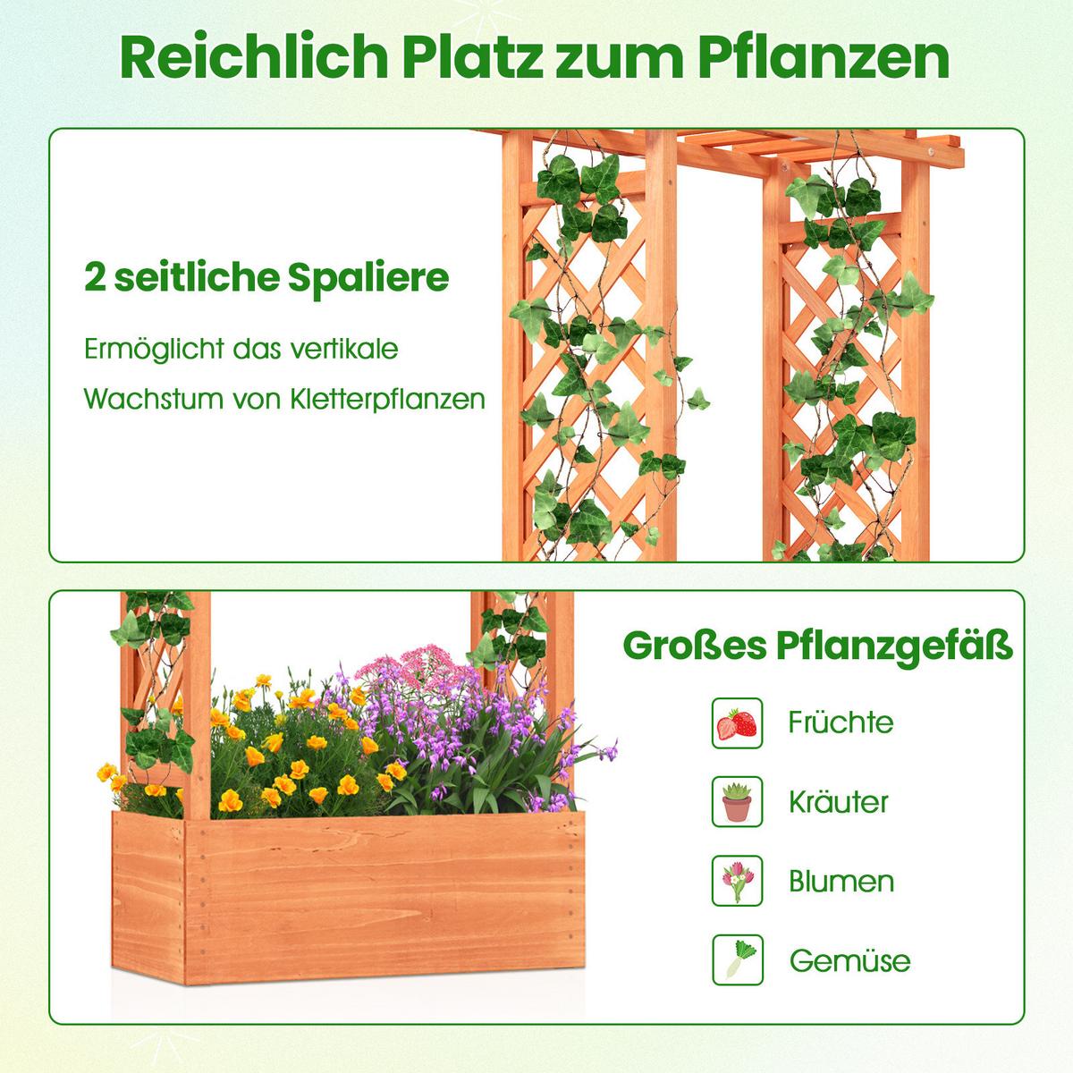 HOCHBEET Orange - Orange, Holz (66/152/32cm) - COSTWAY