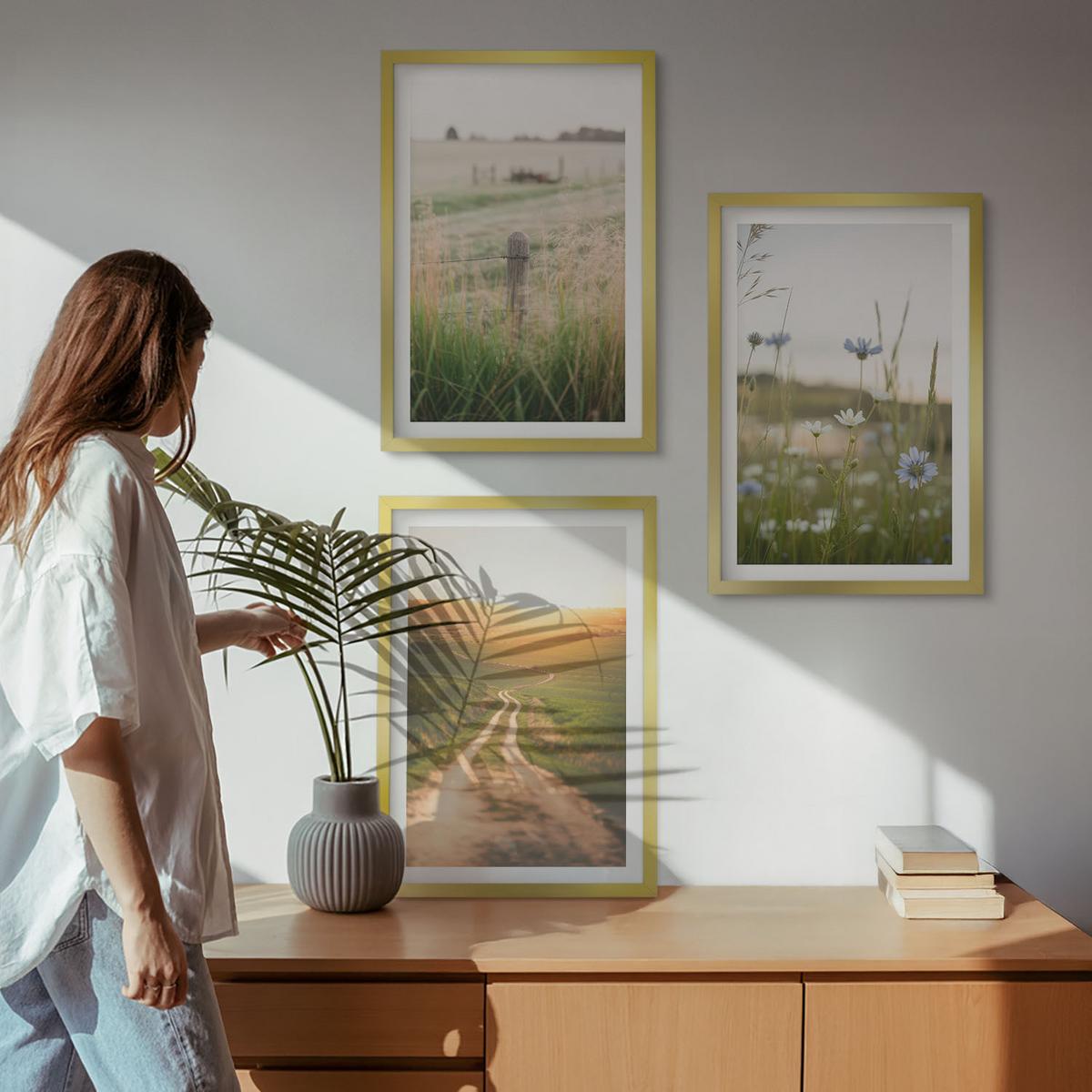 BILDER SET 3er Set - 40x60 cm Goldrahmen - Landschaften Natur Felder Weg - Goldfarben, Kunststoff (40/60cm) - TULUP