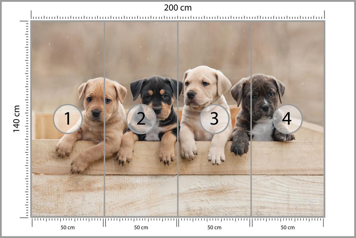 FOTOTAPETE für Kinderzimmer Süße Hunde Tiere 200x140 - Beige/Schwarz, Papier (200/140cm) - Muralo