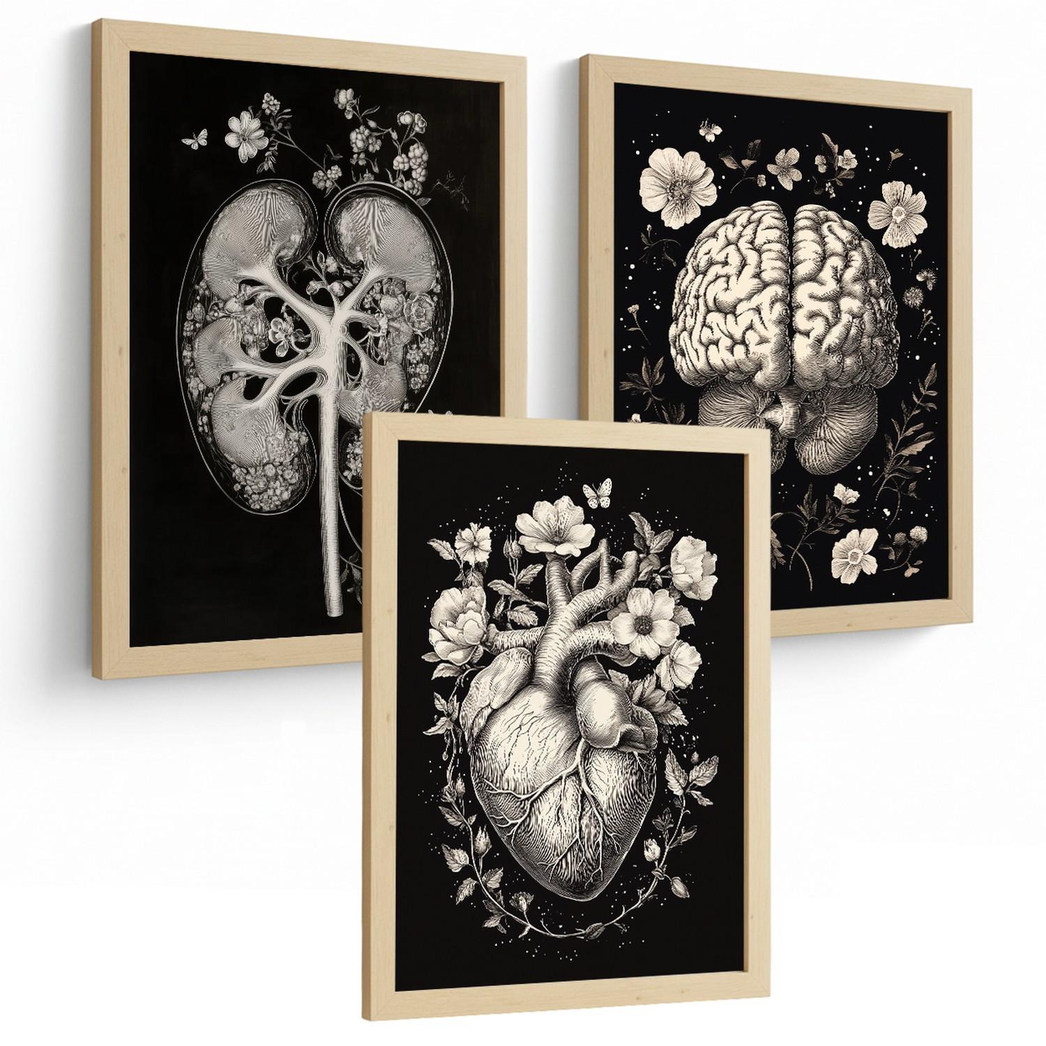 POSTER Set aus 3 Anatomie Mensch Drucke und mit Niere Harnsystem Gehirn und Herz Klassisches Schwarz Weiß Design Größe Leichter Holzrahmen A4 - Beige, Papier (21/29.7/3cm) - Nacnic