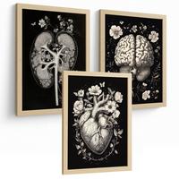 POSTER Set aus 3 Anatomie Mensch Drucke und mit Niere Harnsystem Gehirn und Herz Klassisches Schwarz Weiß Design Größe Leichter Holzrahmen A4 - Beige, Papier (21/29.7/3cm) - Nacnic
