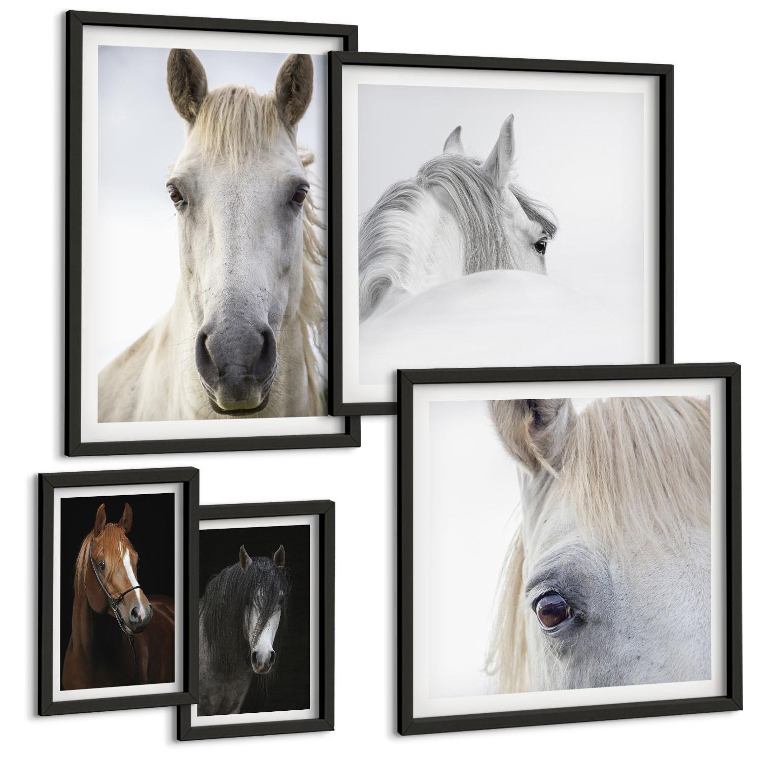 BILDER SET 5er Set - 50x50 cm & 20x30 cm & 40x60 cm Schwarzer Rahmen - Pferdeporträts in Schattierungen - Schwarz, Kunststoff (40/60cm) - TULUP