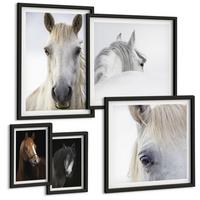 BILDER SET 5er Set - 50x50 cm & 20x30 cm & 40x60 cm Schwarzer Rahmen - Pferdeporträts in Schattierungen - Schwarz, Kunststoff (40/60cm) - TULUP