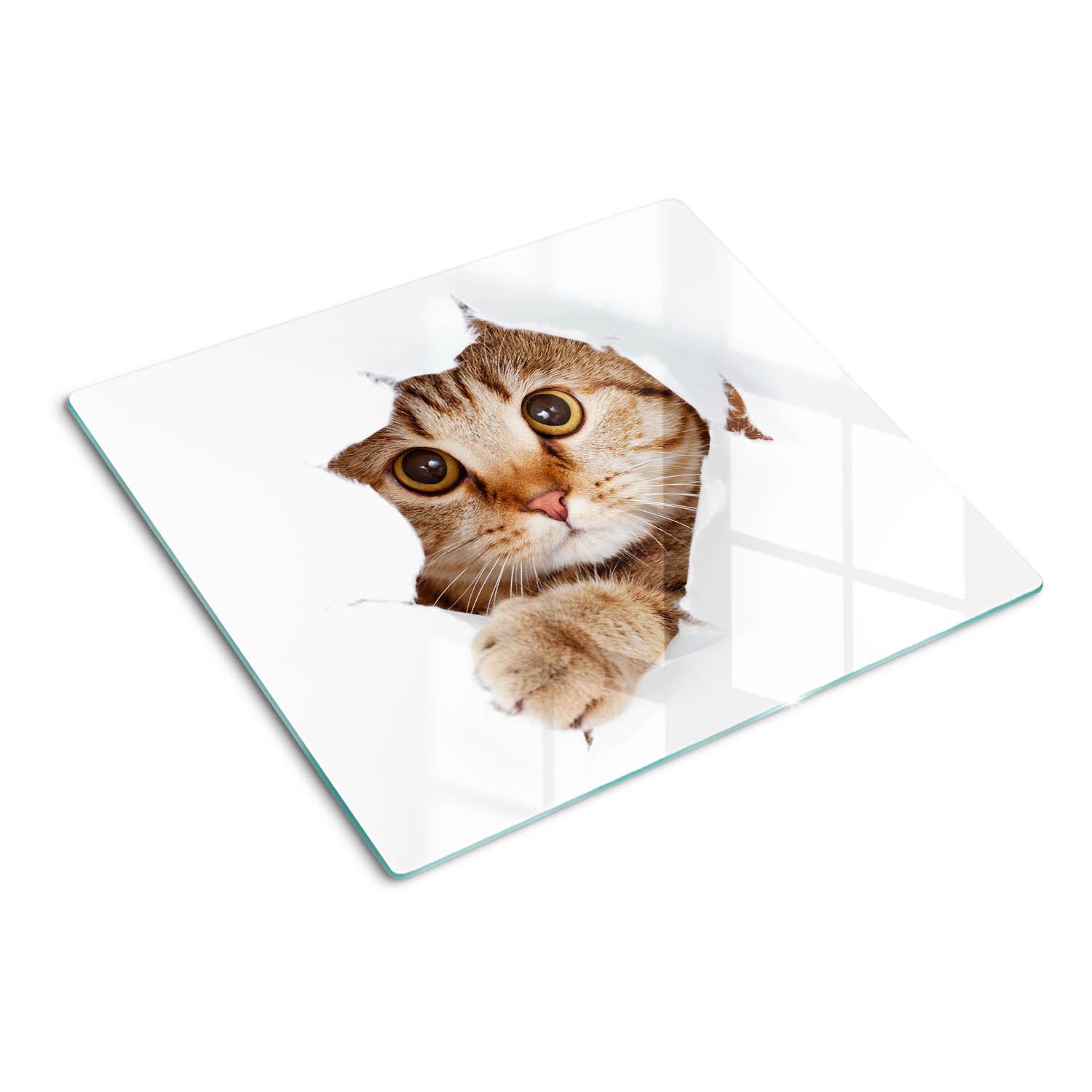 GLASPLATTE 60x52 cm Katze - Beige, Glas (60/52cm) - TULUP