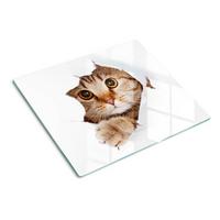 GLASPLATTE 60x52 cm Katze - Beige, Glas (60/52cm) - TULUP