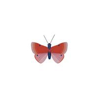 WANDSKULPTUR Bunt 7/13 cm - Multicolor, Wellpappe (7/13/16cm) - Studio Roof