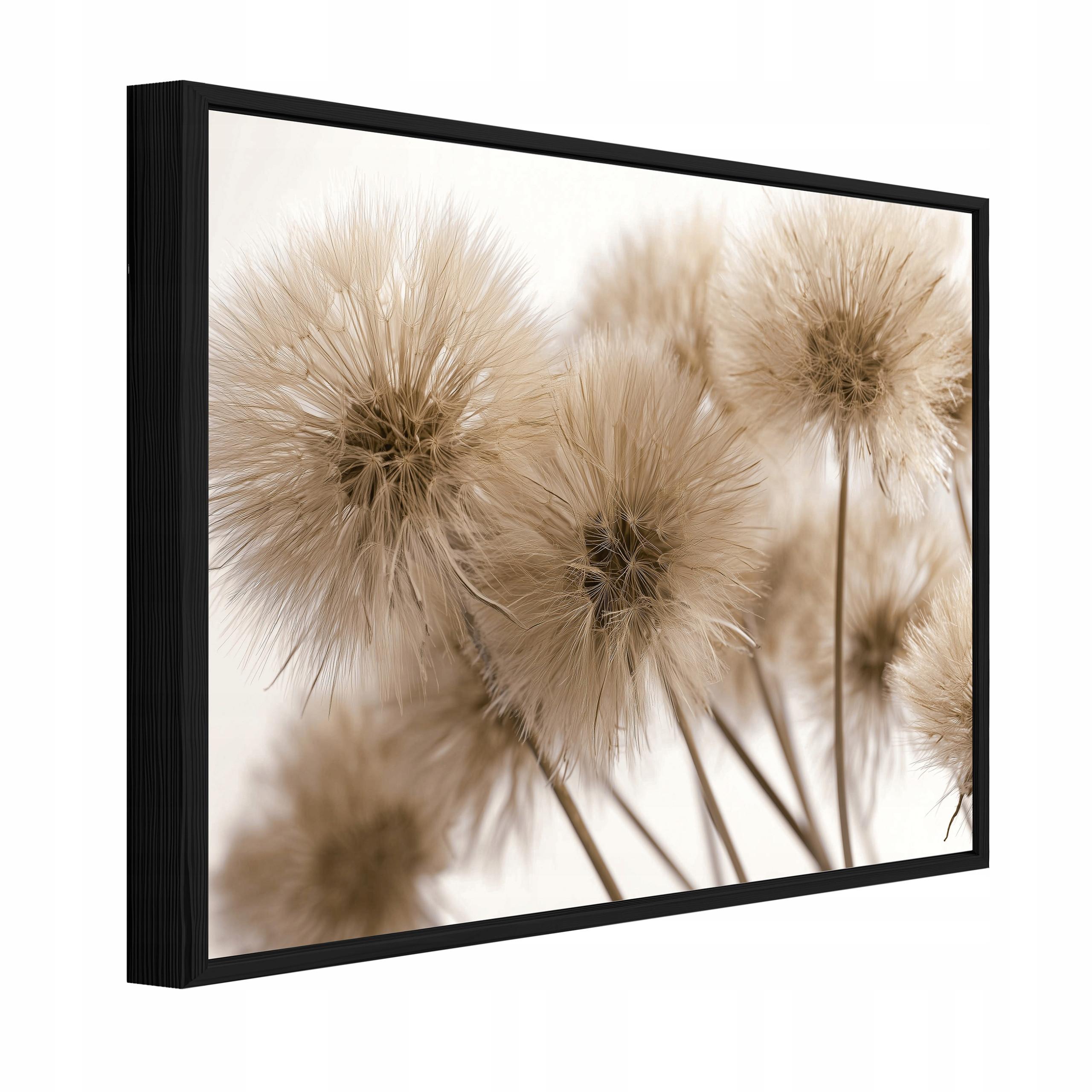 BILDER mit Rahmen Pusteblumen Blumen Beige 100x70 cm - Multicolor, Holzwerkstoff (100/70cm) - Wallarena