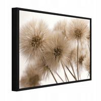 BILDER mit Rahmen Pusteblumen Blumen Beige 100x70 cm - Multicolor, Holzwerkstoff (100/70cm) - Wallarena