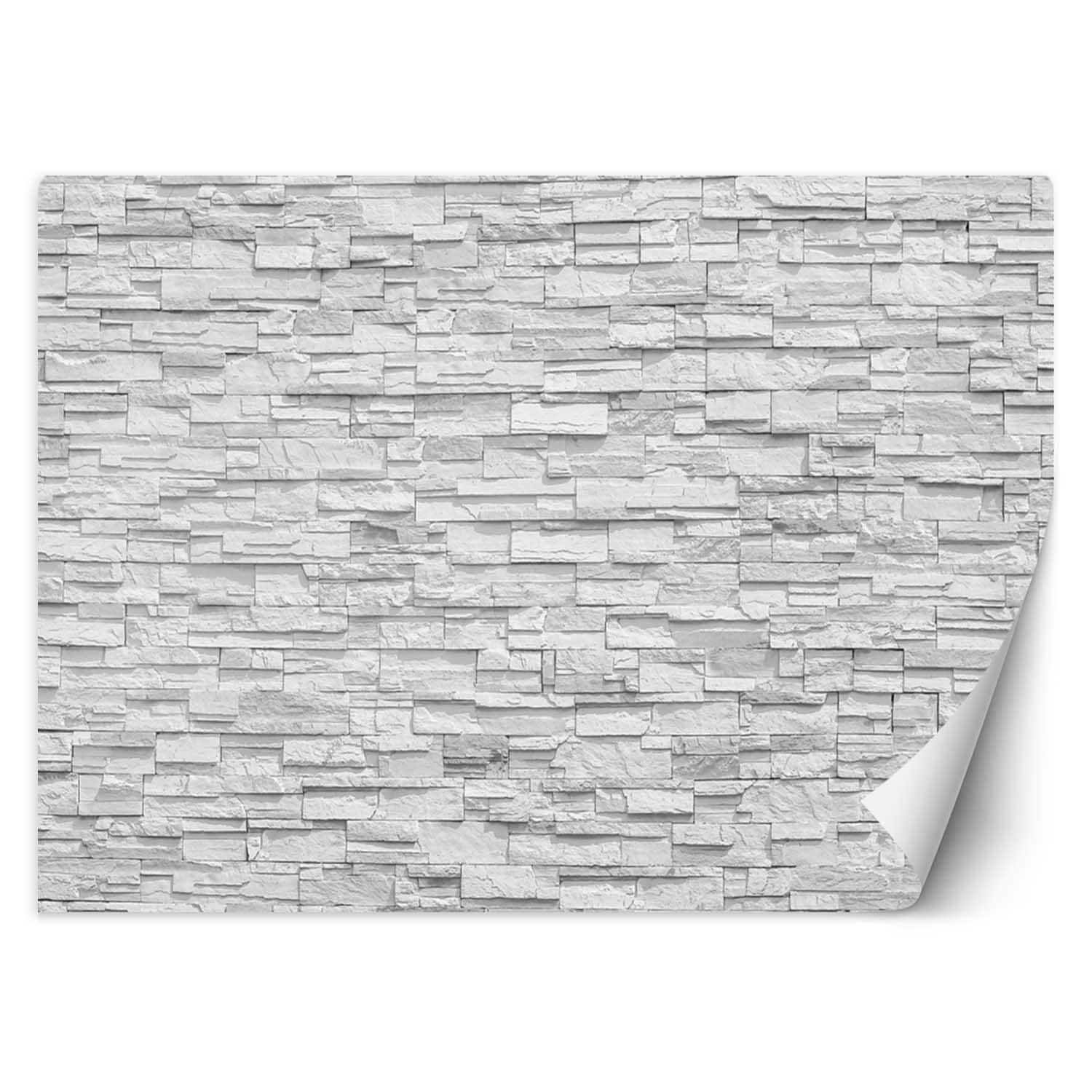 VLIESTAPETE Schwarz 400/280 cm - Schwarz/Weiß, Textil (400/280cm) - KUNSTLOFT