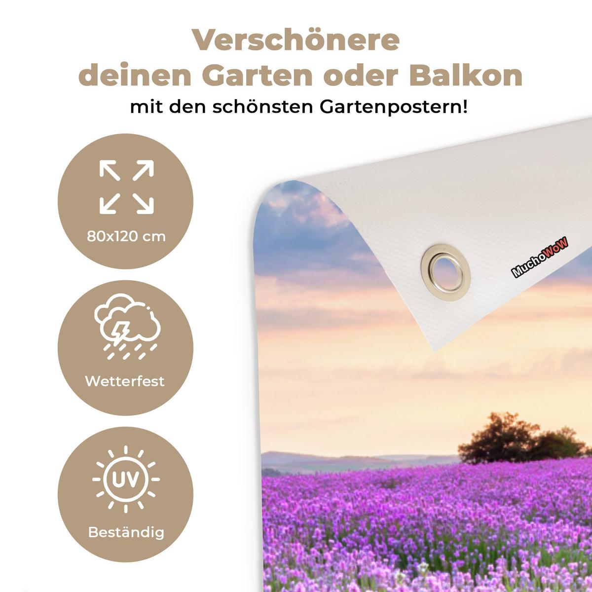GARTENPOSTER Blumen - Lavendel - Lila - Himmel - Sonnenuntergang - Wiese - Natur Outdoor Bilder 80x120 cm - Flieder, Kunststoff (80/120/0.2cm) - OnlyWow