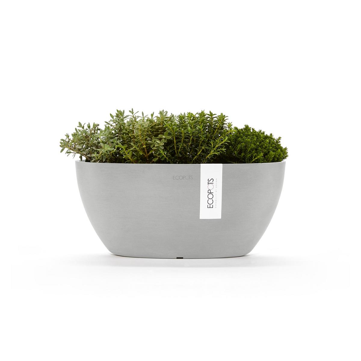 BLUMENTOPF Sofia 29,5/13,5 cm Hellgrau - Hellgrau, Kunststoff (29.5/13.5cm) - Ecopots