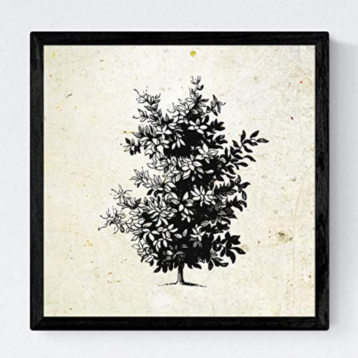 POSTER Set mit 4 Blättern der Bäume Obstbäume Jahrgang Hintergrund 30x30 cm Rahmenlos - Klar, Papier (30/3cm) - Nacnic