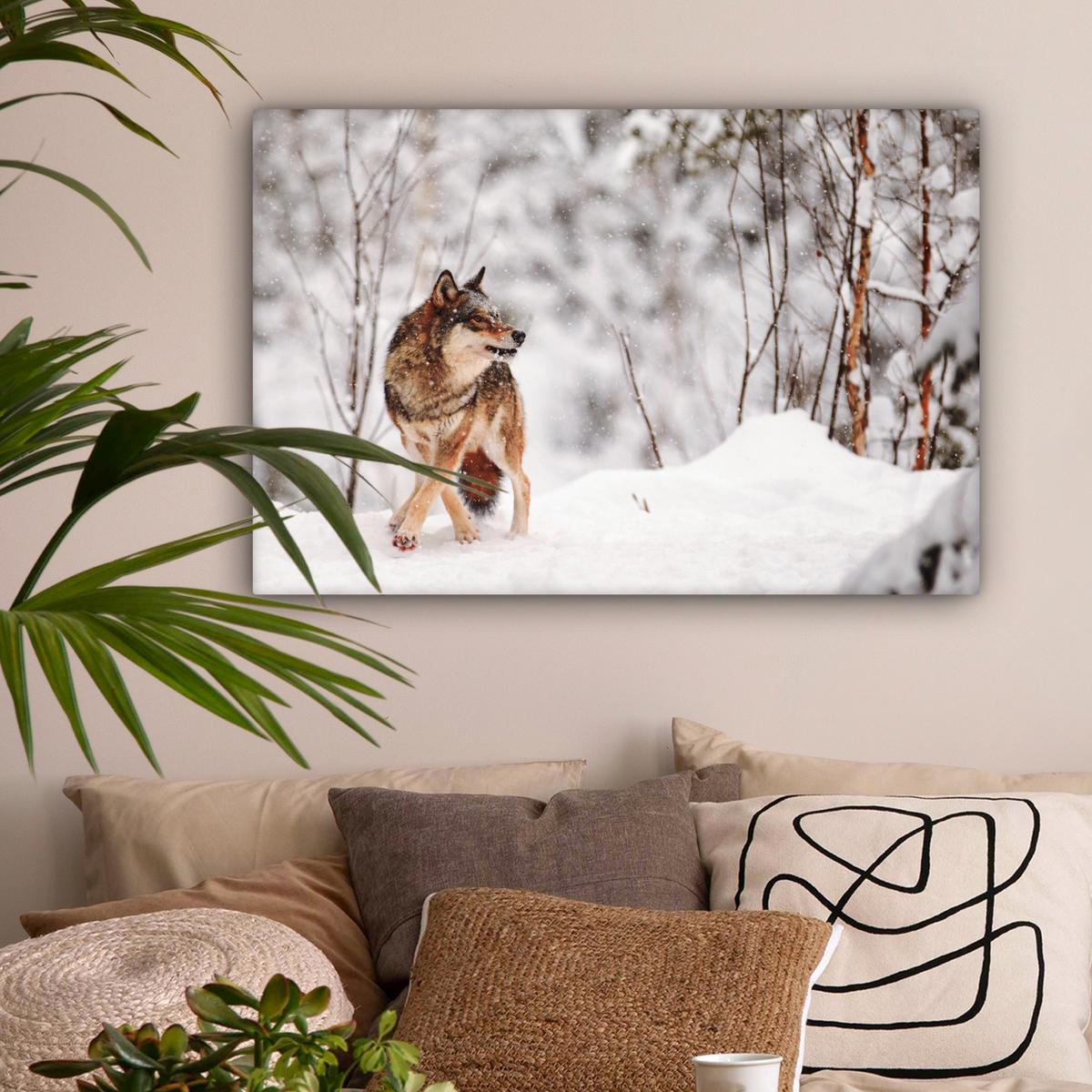 LEINWANDBILD Wolf - Winter - Schnee - Natur - Tiere Wanddeko 90x60 cm - Haselnussfarben, Textil (90/60cm) - MuchoWow