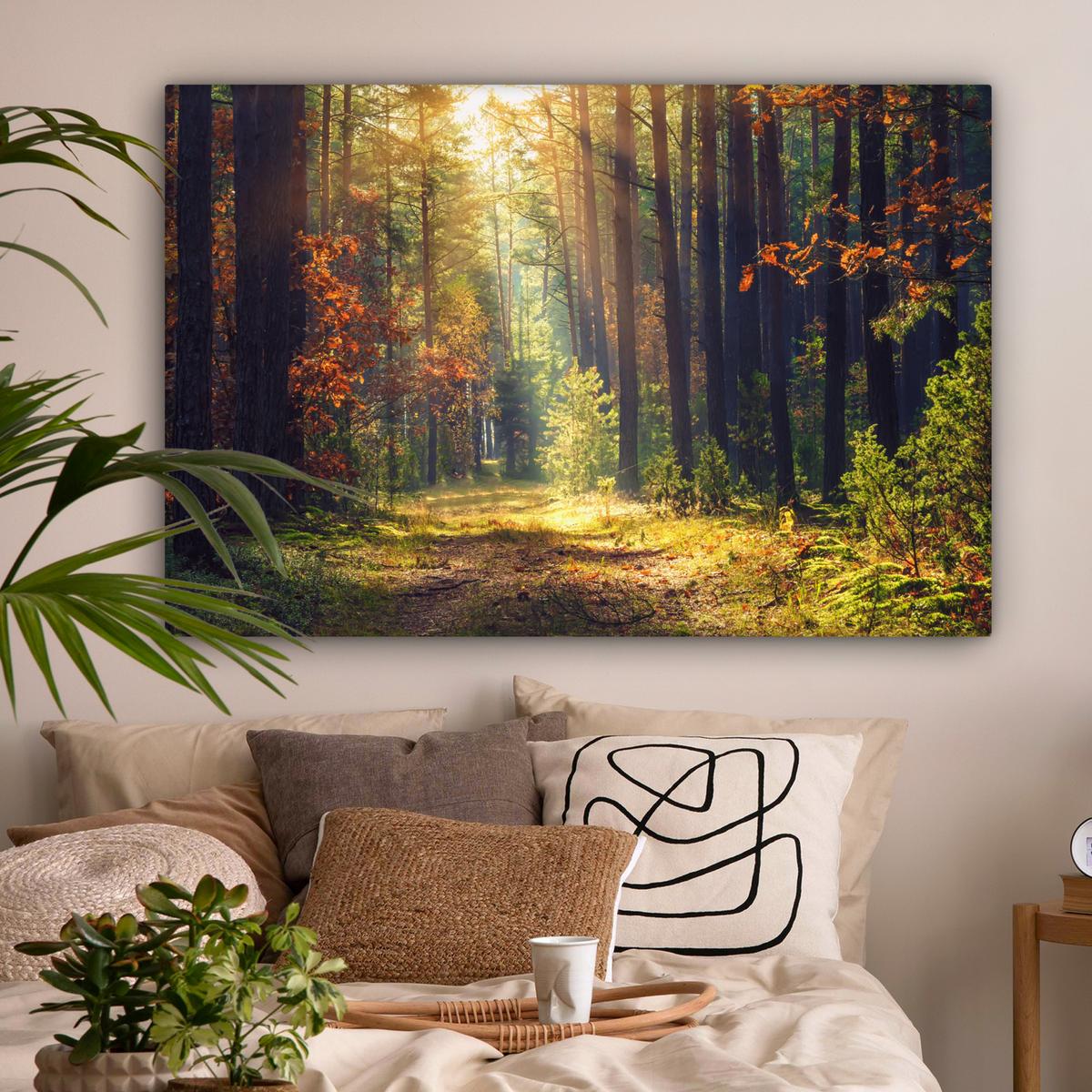 LEINWANDBILD Wald - Herbst - Bäume Groß 140x90 cm - Dunkelgrün, Textil (140/90cm) - MuchoWow