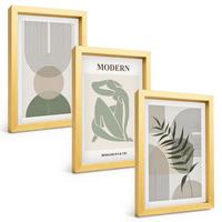 BILDER SET 3er Set - 20x30 cm Goldrahmen - Stilvolle Pflanzengrafiken - Goldfarben, Kunststoff (20/30cm) - TULUP