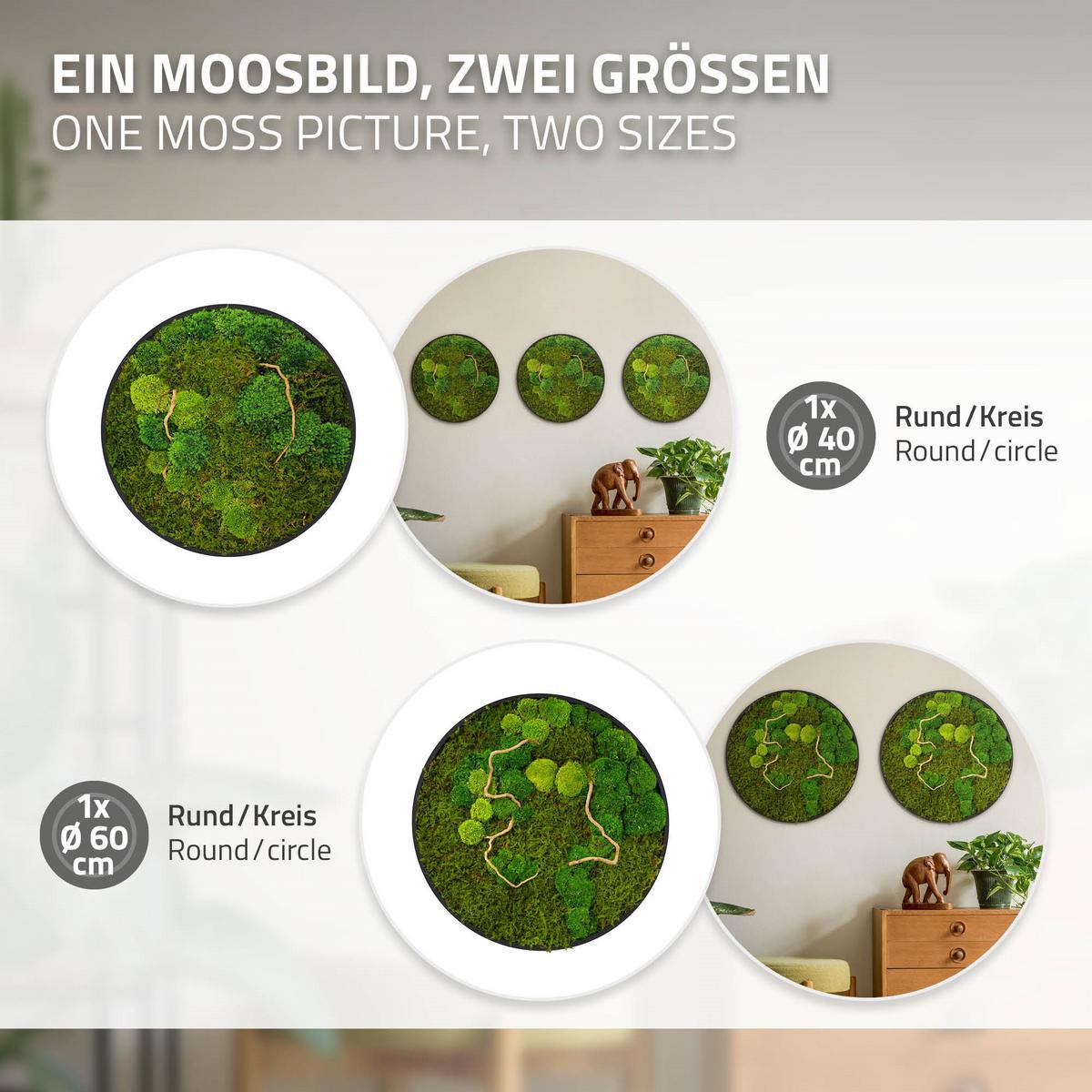 MOOSBILD Rund Ø 40 cm Mooswand Indoor mit echtem Kugelmoos-Flachmoos-Mix und Ästen Holzrahmen Grün - Dunkelgrün, Naturmaterialien (40/40/3cm) - ECD-Germany