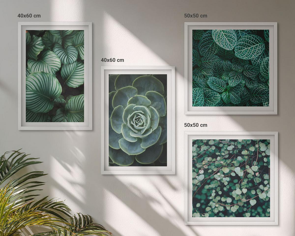 BILDER SET 4er Set - 50x50 cm & 40x60 cm Weißer Rahmen - Grüne, saftige Blätter - Weiß, Kunststoff (50/50cm) - TULUP