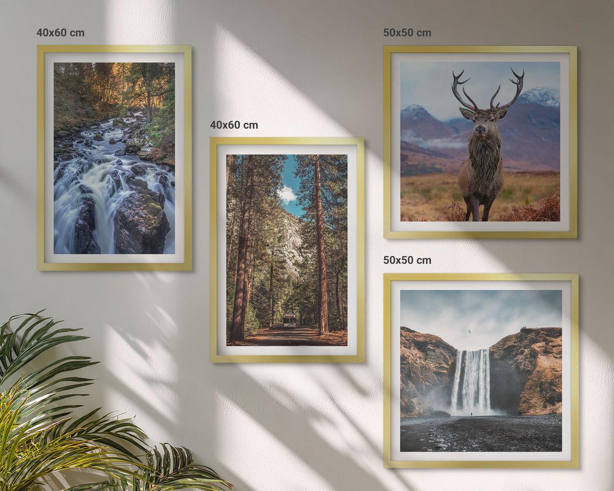 BILDER SET 4er Set - 50x50 cm & 40x60 cm Goldrahmen - Wasserfall Wald Berge Hirsch Natur - Goldfarben, Kunststoff (50/50cm) - TULUP