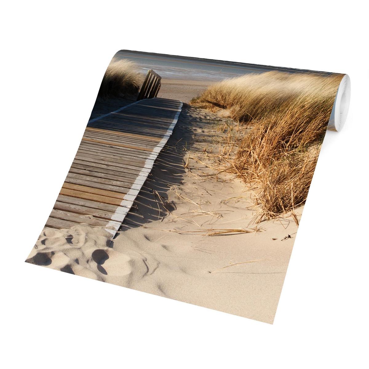 FOTOTAPETE Ostsee Strand 192/192 cm - Eichefarben, Papier (192/192cm) - Bilderwelten