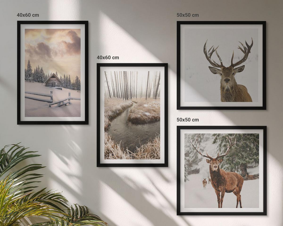 BILDER SET 4er Set - 50x50 cm & 40x60 cm Schwarzer Rahmen - Winterlandschaft mit Hirschen - Schwarz, Kunststoff (50/50cm) - TULUP