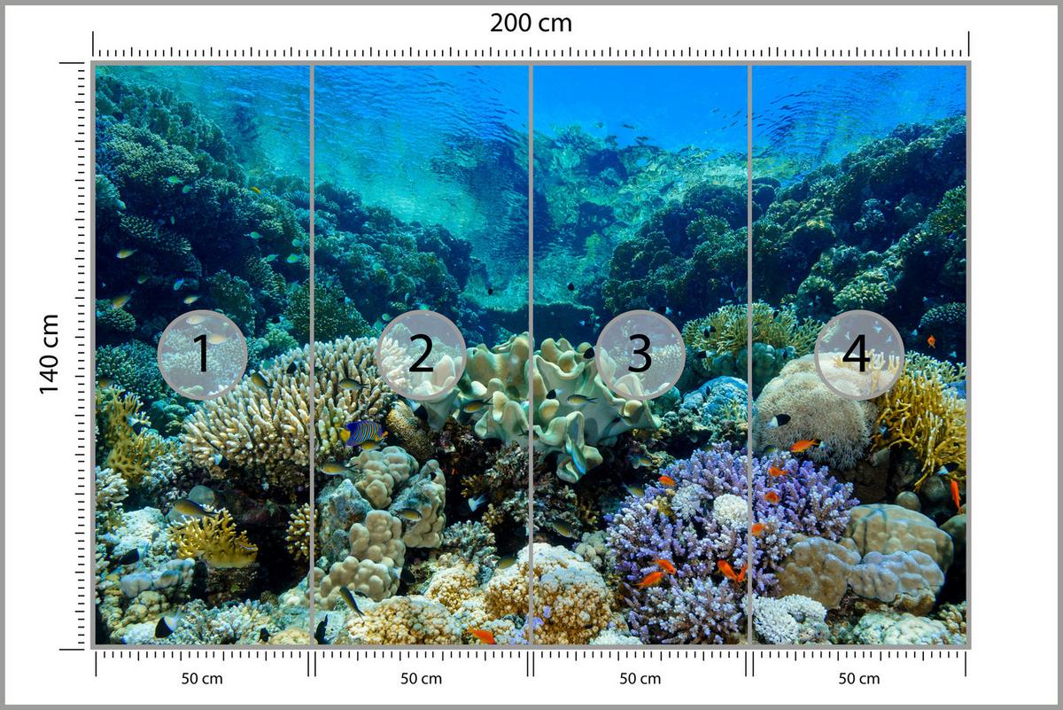 FOTOTAPETE Unterwasserwelt Korallenriff Bunte Fische Meer Natur 200x140 - Türkis/Gelb, Papier (200/140cm) - Muralo