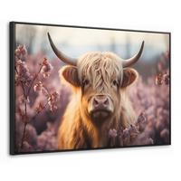 LEINWAND Bilder mit Rahmen - Schottischer Hochländer - Frühling - Hochland - 120x80 - Hellrosa, Textil (120/80cm) - MuchoWow