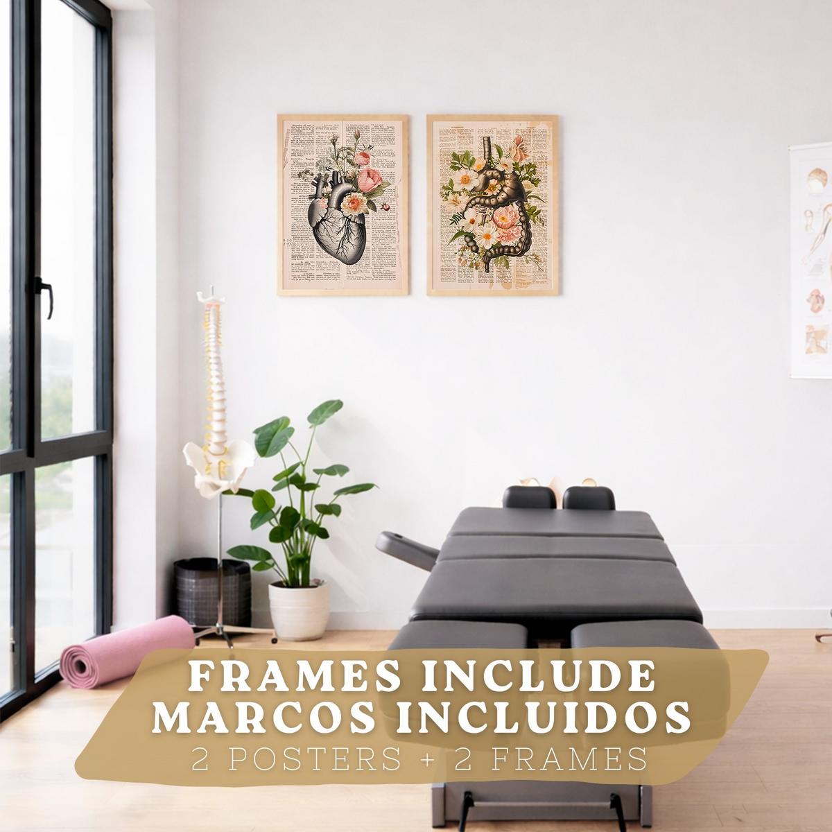 POSTER Set aus 2 Anatomie Mensch Drucke und Wandbilder mit Verdauungssystem Darm und Herz Klassisches Florales Design Größe Leichter Holzrahmen A4 - Beige, Papier (21/29.7/3cm) - Nacnic