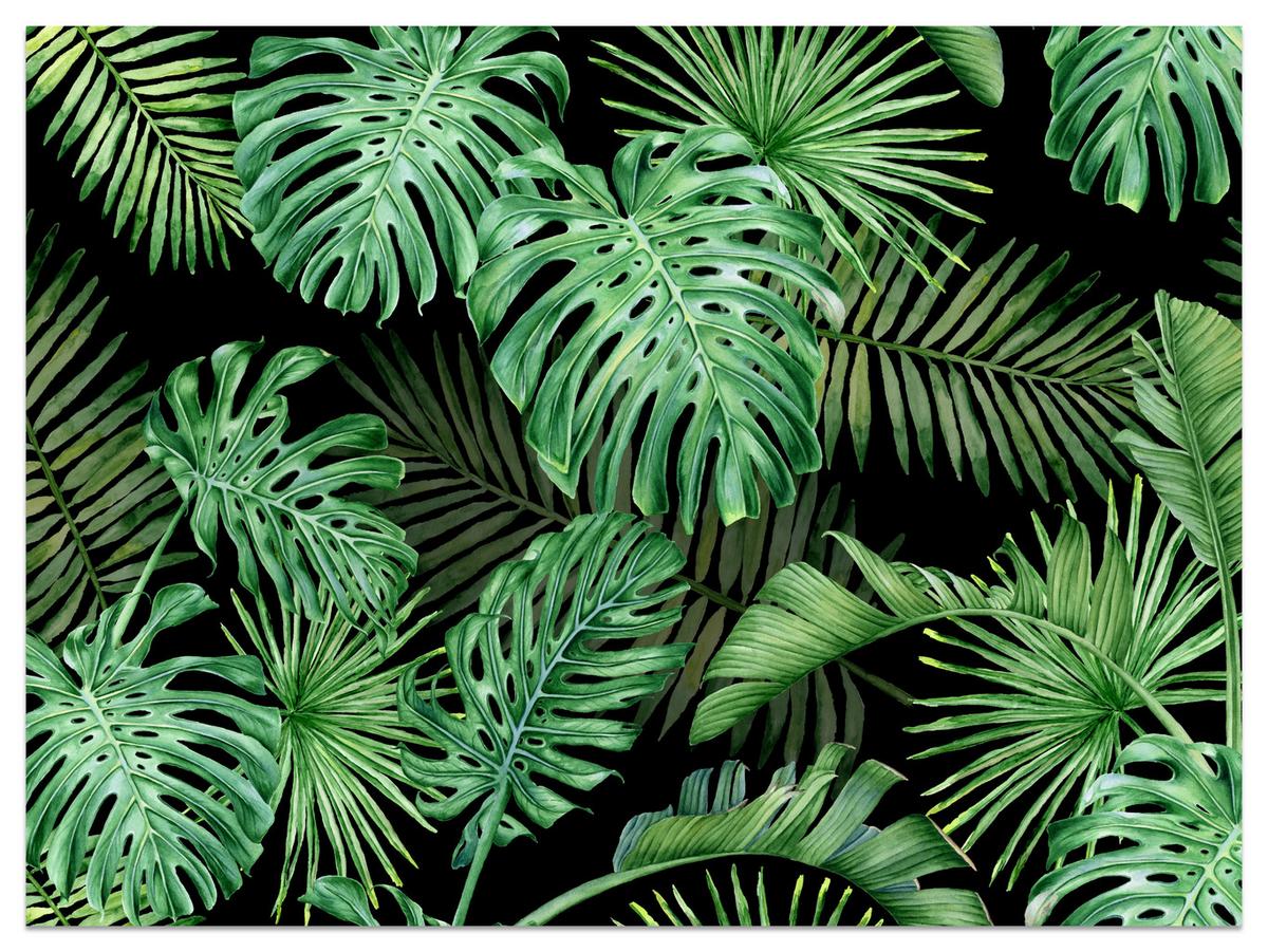 FOTOTAPETE für Schlafzimmer Exotische Grüne Monstera Palmen 400x280 - Schwarz/Grün, Papier (400/280cm) - Muralo
