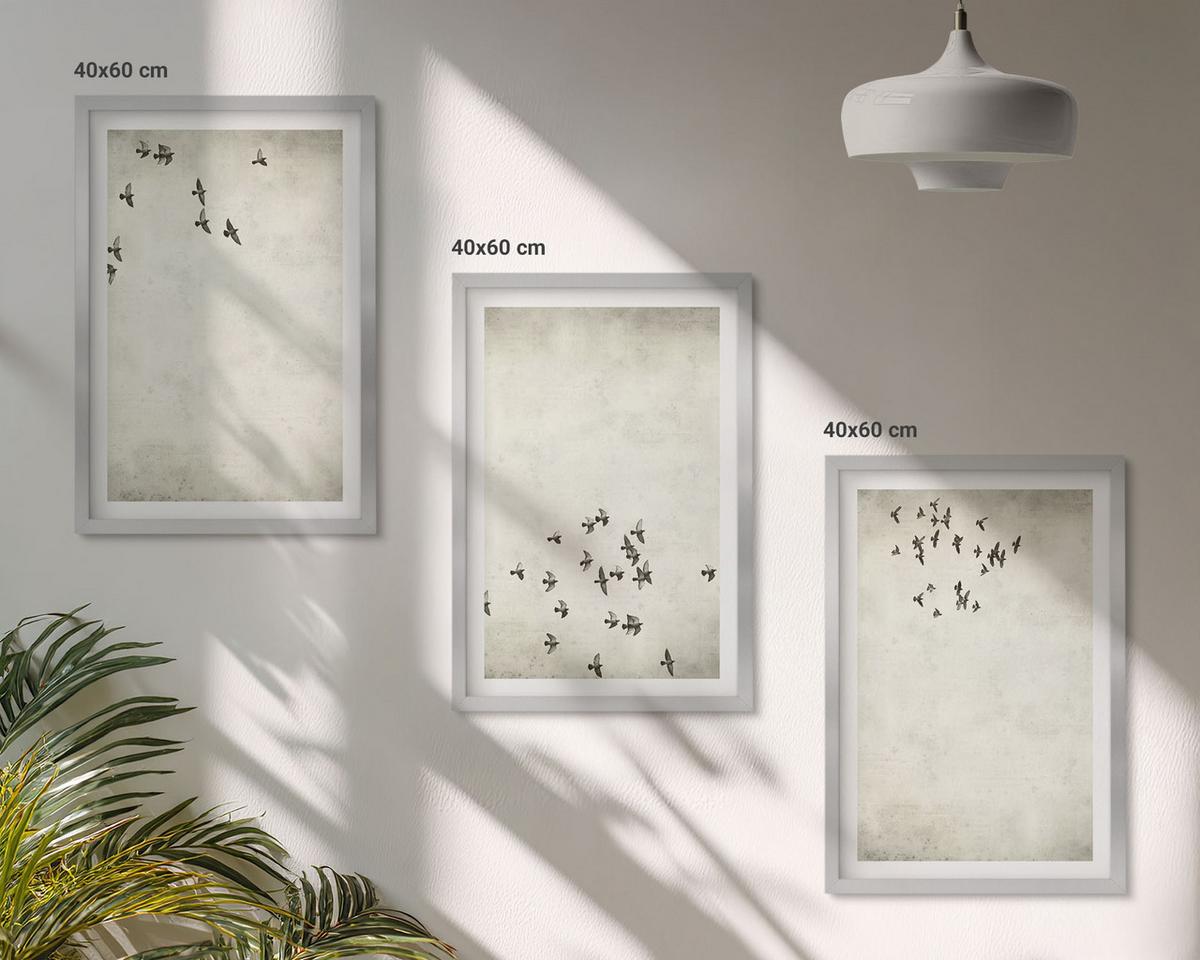 BILDER SET 3er Set - 40x60 cm Silberner Rahmen - Minimalistische Vogelmalerei - Silberfarben, Kunststoff (40/60cm) - TULUP