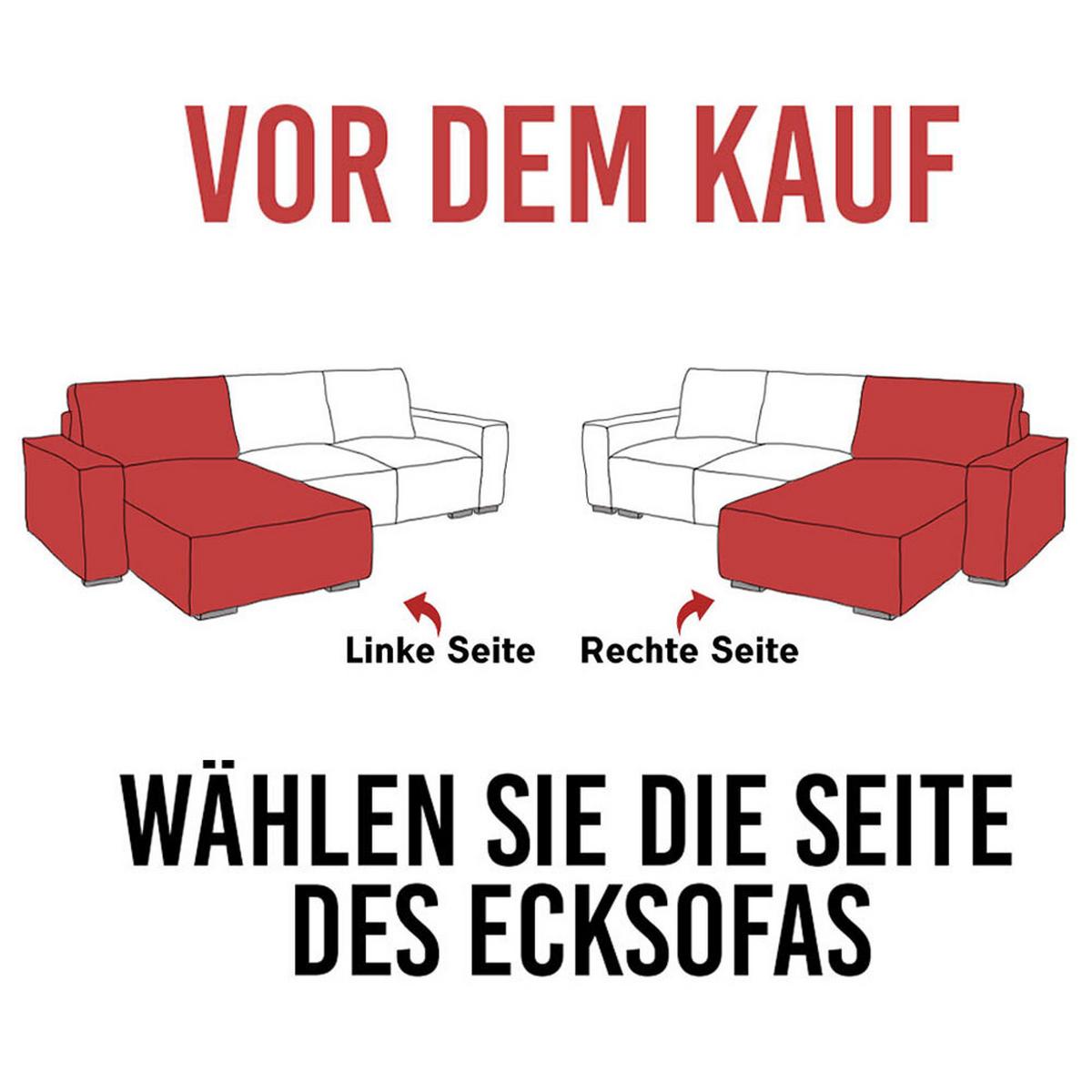 ECKSOFA GUSTAW L Hellgrau Velvet Rechts Seite - Silberfarben/Hellgrau, Textil/Metall (275/205cm) - MKS