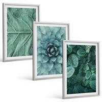 BILDER SET 3er Set - 40x60 cm Silberner Rahmen - Nahaufnahme von Pflanzenblättern - Silberfarben, Kunststoff (40/60cm) - TULUP