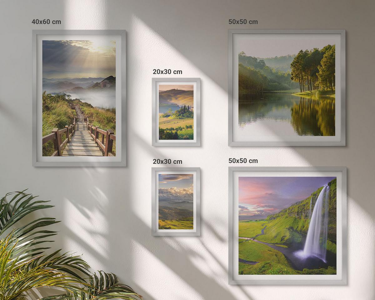 BILDER SET 5er Set - 50x50 cm & 20x30 cm & 40x60 cm Silberner Rahmen - Aquarell von grünen tropischen Blättern - Silberfarben, Kunststoff (40/60cm) - TULUP